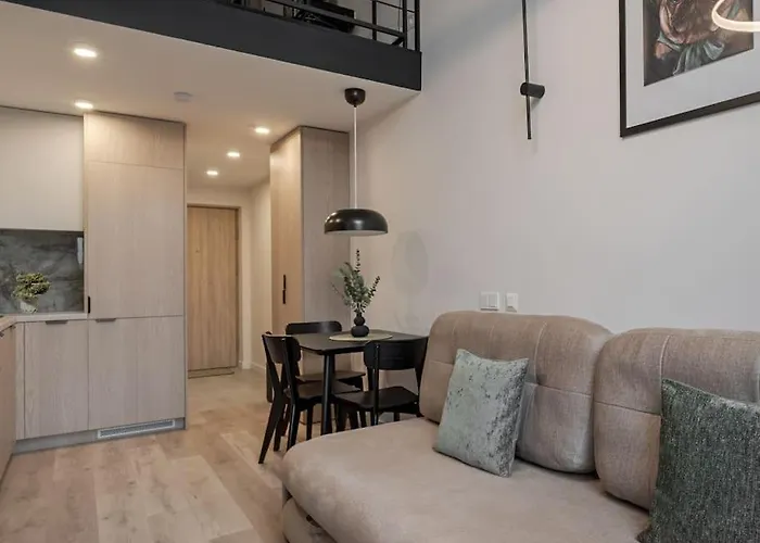 Lejlighed Brand New 58 Loft With Free Parking Vilnius