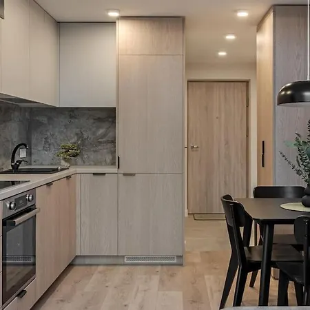 Brand New 58 Loft With Free Parking Lägenhet Vilnius