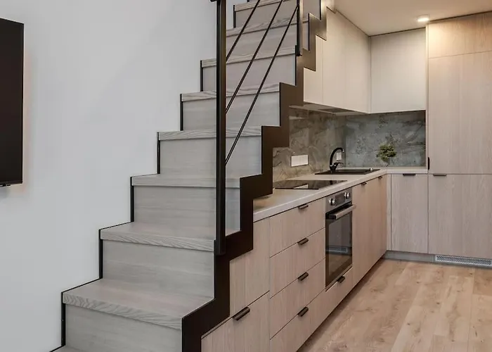 Appartement Brand New 58 Loft With Free Parking Vilnius